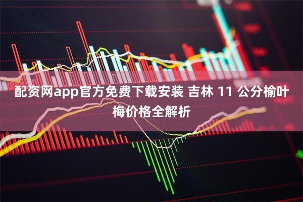 配资网app官方免费下载安装 吉林 11 公分榆叶梅价格全解析